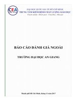 BÁO CÁO ĐÁNH GIÁ NGOÀI TRƯỜNG ĐẠI HỌC AN GIANG