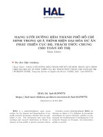 MẠNG LƯỚI ĐƯỜNG HẺM THÀNH PHỐ HỒ CHÍ MINH TRONG QUÁ TRÌNH HIỆN ĐẠI HÓA DỰ ÁN PHÁT TRIỂN CỤC BỘ, THÁCH THỨC CHUNG CHO TOÀN ĐÔ THỊ - Marie Gibert