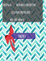 Phân đoạn thị trường, lựa chọn thị trường, mục tiêu định vị và phân tích chiến lược kinh doanh của Coca Cola Việt Nam