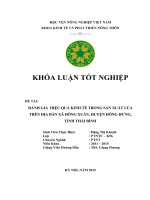 danh gia hieu qua kinh te trong san xuat lua tren dia ban xa dong xuan huyen dong hung tinh thai binh 1728