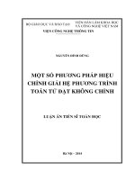 Một số phương pháp hiệu chỉnh giải hệ phương trình toán tử đặt không chỉnh ( Luận án tiến sĩ)