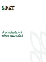 TÀI LIỆU CHỈ DẪN NHỮNG YẾU TỐ NHẬN DIỆN THƯƠNG HIỆU CỐT LÕI