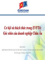 Cơ hội và thách thức trong EVFTA: Góc nhìn của doanh nghiệp Châu Âu