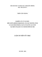 Nghiên cứu tỷ lệ mắc hội chứng bệnh Parkinson, tai nạn thương tích và giải pháp phòng ngừa ở người cao tuổi tại một số quận của thành phố Hà Nội (FULL TEXT)