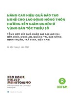 Nâng cao hiệu đào tạo nghề cho lao động nông thôn hướng đến giảm nghèo vùng dân tộc thiểu số Tổng hợp kết khảo sát Lào Cai, Hòa Bình, Nghệ An, Quảng Trị, Đăk Nơng, Ninh Thuận, Trà Vinh