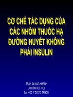CƠ CHẾ TÁC DỤNG CỦA CÁC NHÓM THUỐC HẠ ĐƯỜNG HUYẾT KHÔNG PHẢI INSULIN
