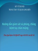 Hướng dẫn giám sát và phòng, chống bệnh tay chân miệng