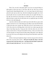 Tiểu luận môn Tâm lý học văn hóa