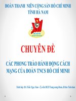 CHUYÊN ĐỀ CÁC PHONG TRÀO HÀNH ĐỘNG CÁCH MẠNG CỦA ĐOÀN TNCS HỒ CHÍ MINH