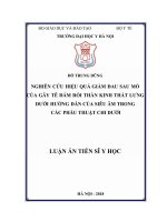 LATS  Y HỌC- Nghiên cứu hiệu quả giảm đau sau mổ của gây tê đám rối thần kinh thắt lưng dưới hướng dẫn của siêu âm trong các phẫu thuật chi dưới (FULL TEXT)