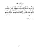 NGHIÊN CỨU HOÁN CẢI CƠ CẤU ĐIỀU KHIỂN CẤP NHIÊN LIỆU CHO ĐỘNG CƠ DIESEL TÀU THỦY CỠ NHỎ SỬ DỤNG NHIÊN LIỆU KHÍ TỰ NHIÊN_2