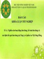 Nghiên cứu hoạt động bán hàng, kế toán bán hàng và xác định kết quả bán hàng tại công ty cổ phần an việt sông hồng 