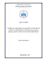 Nghiên cứu ảnh hưởng của loại thức ăn sống đến tỷ lệ sống và sinh trưởng cá giò rachycentron canadum (linnaeus,1766) từ 2 đến 25 ngày tuổi tại ninh thuận 