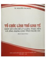Một số vấn đề lý luận, thực tiễn và sự ứng dụng cho tỉnh nghệ an
