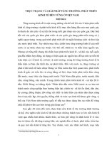 TIỂU LUẬN KINH tế CHÍNH TRỊ   THỰC TRẠNG và GIẢI PHÁP TĂNG TRƯỞNG PHÁT TRIỂN KINH tế bền VỮNG ở VIỆT NAM