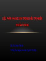Bài Giảng Liệu Pháp Kháng Sinh Trong Điều Trị Nhiễm Khuẩn Ổ Bụng