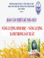 Bài báo cáo môn học năng lượng xanh năng lượng sinh học