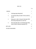 TIỂU LUẬN KINH tế CHÍNH TRỊ   VAI TRÒ của NHÂN tố NĂNG XUẤT TỔNG hợp (TFP)  TRONG TĂNG TRƯỞNG KINH tế ở VIỆT NAM