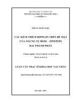 Các kích thích ripplon trên bề mặt của ngưng tụ bose   einstein hai thành phần 