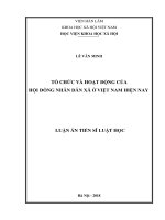 Tổ chức hoạt động của Hội đồng nhân dân xã ở Việt Nam hiện nay (Luận án tiến sĩ)