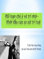 BÀI GIẢNG RỐI LOẠN CHÚ Ý VÀ TRÍ NHỚ,KHỞI ĐẦU CỦA SA SÚT TRÍ TUỆ - TS Trần Công Thắng