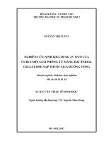 Nghiên cứu sinh khả dụng IN VIVO của curcumin giải phóng từ màng bacterial cellulose nạp thuốc qua đường uống