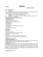 Giáo án bài "Nhàn" - Nguyễn Bỉnh Khiêm