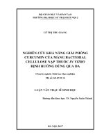 Nghiên cứu khả năng giải phóng curcumin của màng bacterial cellulose nạp thuốc in vitro định hướng dùng qua da