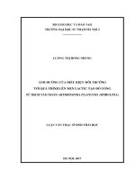 Ảnh hưởng của điều kiện môi trường tới quá trình lên men lactic tạo đồ uống từ dịch tảo xoắn arthrospira platensis (spirulina)