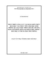 Phát triển năng lực vận dụng kiến thức hóa học vào thực tiễn cho học sinh thông qua dạy học theo chủ đề chương kim loại kiềm, kim loại kiềm thổ, nhôm hóa học 12 trung học phổ thông