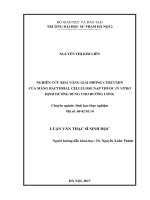 Nghiên cứu khả năng giải phóng curcumin của màng bacterial cellulose nạp thuốc in vitro định hướng dùng cho đường uống