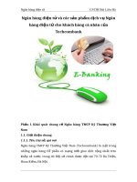 Ngân hàng điện tử và các sản phẩm dịch vụ ngân hàng điện tử cho khách hàng cá nhân của techcombank