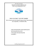 CÔNG tác QUẢN TRỊ lực LƯỢNG bán HÀNG tại CÔNG TY BÓNG đèn PHÍCH nước RẠNG ĐÔNG đà NẴNG 