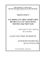 Tác động cấu trúc sở hữu đến rủi ro của các ngân hàng thương mại việt nam 