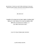 NGHIÊN CỨU ĐÁNH GIÁ SỰ PHÁT TRIỂN VỀ HÌNH THÁI THỂ LỰC VÀ KỸ THUẬT CỦA NAM VẬN ĐỘNG VIÊN BÓNG ĐÁ AN GIANG LỨA TUỔI 16 – 17 SAU MỘT NĂM TẬP LUYỆN