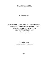 Nghiên cứu ảnh hưởng của gốc ghép đến khả năng chống chịu bệnh héo xanh, sự sinh trưởng, năng suất và chất lượng cây ớt cay (Capsicum spp.)