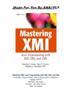 John wiley  sons mastering xmi java programming with xmi xml and uml 