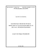 Giải pháp hạn chế rủi ro tín dụng trong cho vay tại ngân hàng hợp tác xã việt nam   chi nhánh thanh hóa 