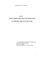 THUẾ CHỐNG BÁN PHÁ GIÁ TRONG WTO VÀ TRƯỜNG HỢP CỦA VIỆT NAM