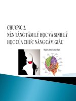 BÀI GIẢNG NỀN TẢNG TÂM LÝ HỌC VÀ SINH LÝ HỌC CỦA CHỨC NĂNG CẢM GIÁC