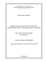 Nghiên cứu đặc tính lý hóa và khả năng hấp thụ curcumin của màng bacterial cellulose (LV02589) 