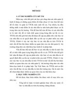 Bảo vệ nhà đầu tư nhỏ trên thị trường chứng khoán việt nam (tt) 