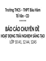 BÀI GIẢNG HOẠT ĐỌNG TRẢI NGHIỆM SÁNG TẠO