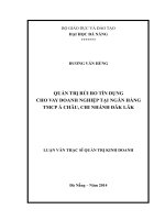 Quản trị rủi ro tín dụng cho vay doanh nghiệp tại ngân hàng TMCP á châu, chi nhánh đăk lăk