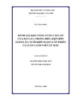 Đánh giá khả năng cung cấp lân của đất lúa trong điều kiện bón giảm lân, tưới khôngập luân phiên và luân canh với cây màu