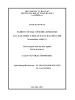 Nghiên cứu đặc tính sinh hóa sinh dược của cặn chiết n hexan ở cây rau dền cơm (amaranthus viridis l ) (LV02464) 