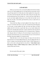 Hoàn thiện kế toán bán hàng tại Công ty TNHH Thương mại và Dịch vụ Sơn Linh