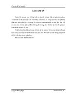 Ứng dụng phương pháp xác định giá trị rủi ro VaR trong phân tích và quản trị rủi ro các dự án đầu tư ngành thép tại Ngân hàng Agribank chi nhánh tỉnh Hải Dương