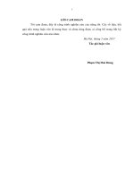 Đánh giá hiệu quả kinh tế sản xuất chè của hộ nông dân trên địa bàn huyện tân sơn, tỉnh phú thọ 