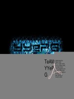 John wiley  sons businessexecutive coaching a guide for the hr professional (2005) 